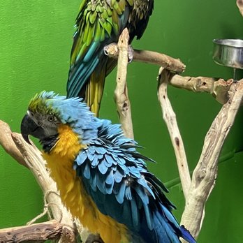 Austin Aquarium - Aquariums Near Me - Austin, Texas
