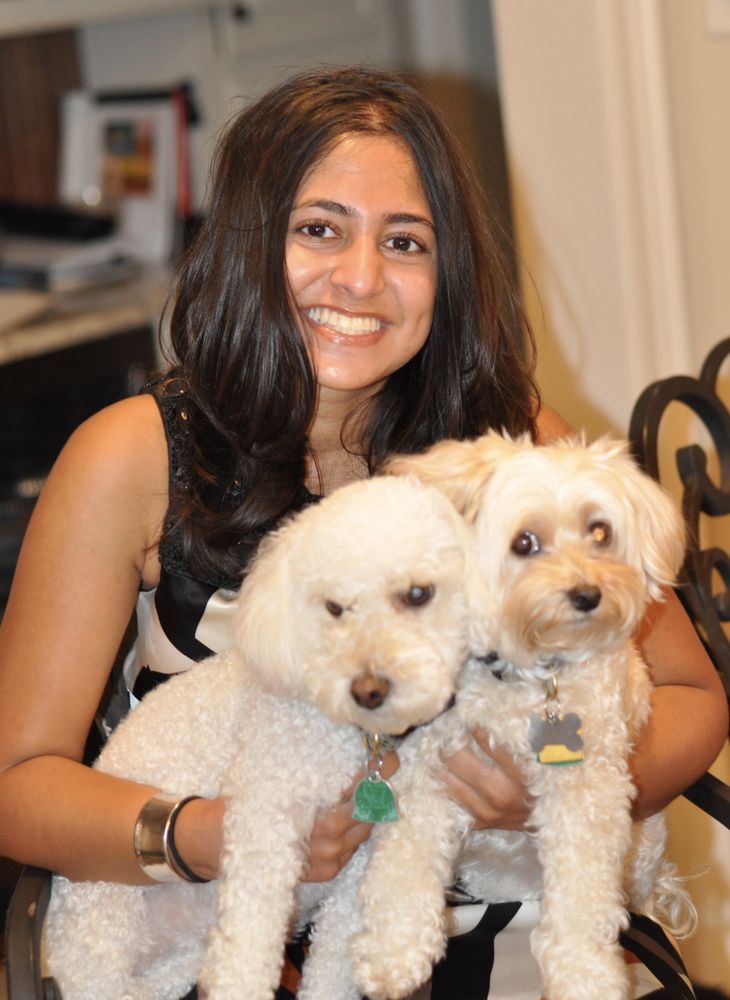 AJS Pet Care & Dog Walking Image