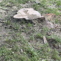 L & A Tree Service