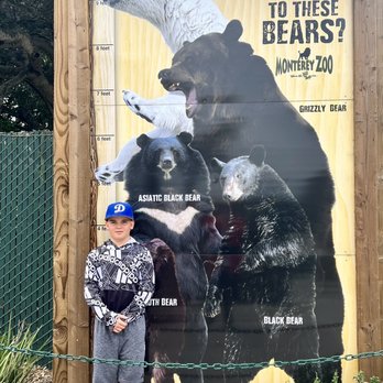 Monterey Zoo - Bears with my baby bear - Zoos Near Me - Salinas, California Monterey Zoo - Bears with my baby bear - Zoos Near Me - Salinas, California