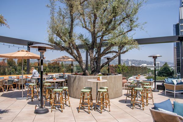 Terra at Eataly L.A. by null