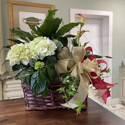 Legacy Florals & Gifts - We offer beautiful plant baskets with the highest quality seasonal plants.