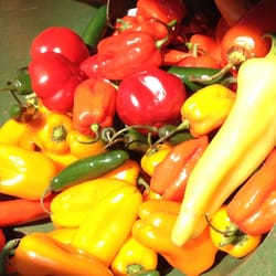 Moholt Produce - Peppers! Woohoo!