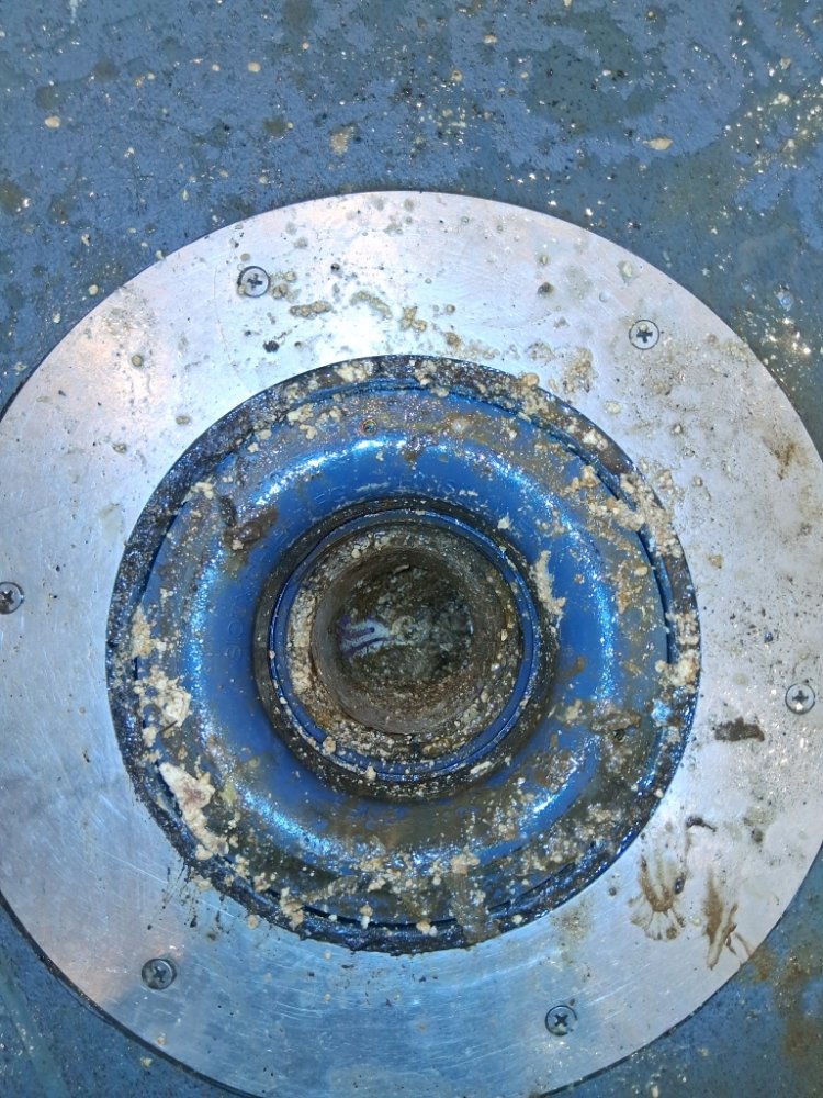 Slide of Helenas Drain Doctor