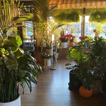 EMRY’s Garden - More foliage! - Cocktail Bars Near Me - Troy, New York