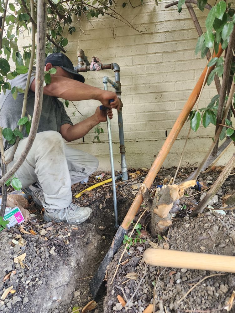 Slide of Mc Multiservice