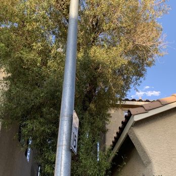Nevada Tree Service - This tree was my nightmare, trimmed every year for 17 years, just too much, HOA always complained. - Tree Services Near Me - Las Vegas, Nevada Nevada Tree Service - This tree was my nightmare, trimmed every year for 17 years, just too much, HOA always complained. - Tree Services Near Me - Las Vegas, Nevada