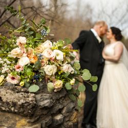 Blooms And Blossoms