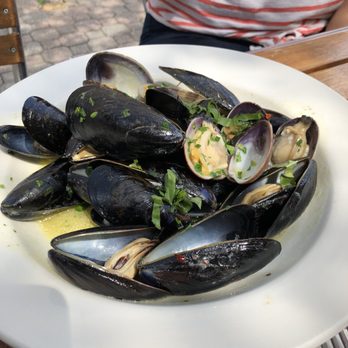Cafe Giotto - Mussels and clam special - Cafes Near Me - Montclair, New Jersey