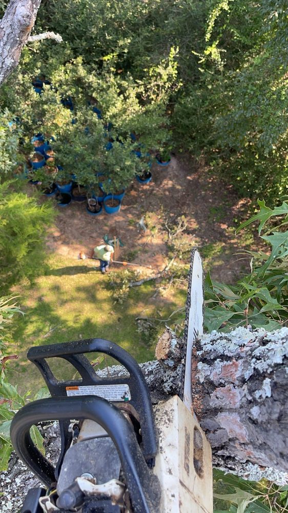 JONES CONSTRUCTION OF TEXAS CORP Updated September 2024 19 Photos