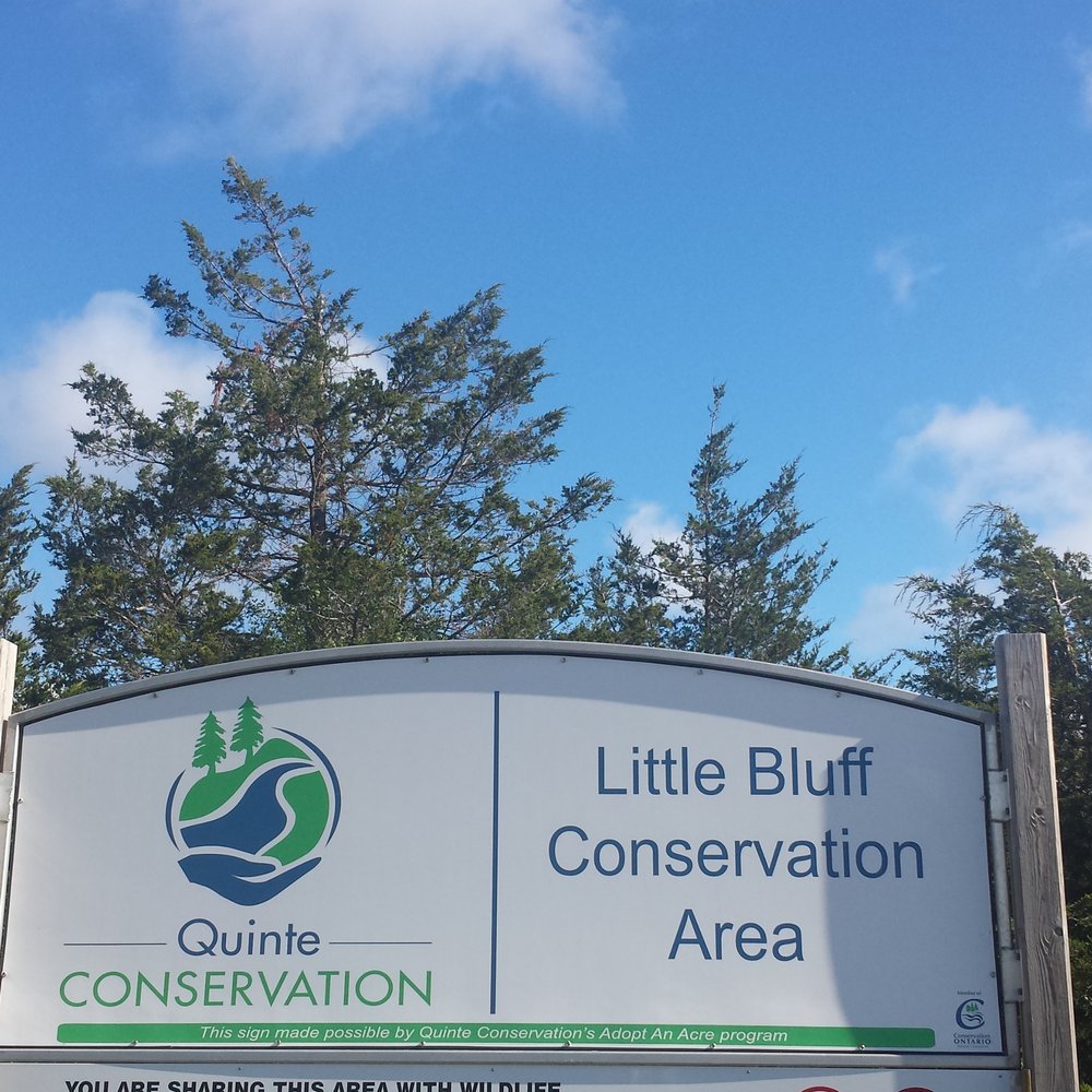 Little Bluff Conservation - Parks Near Me - Picton