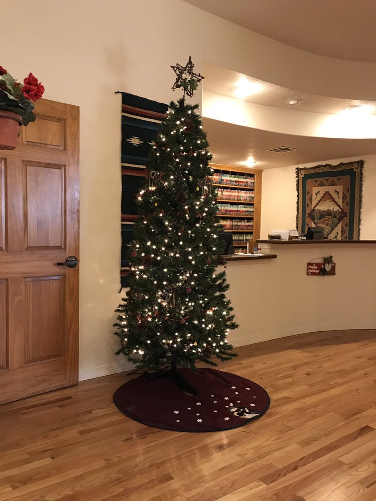 SEGAPELI DAVID, DDS Updated September 2024 El Paso, Texas General