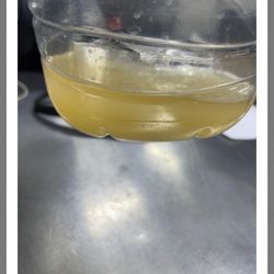 Water found in my gas tank.