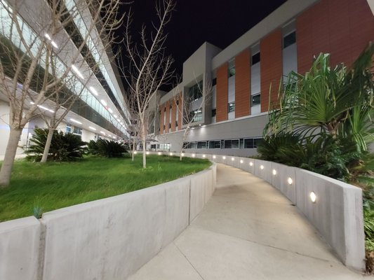 Palomar College by null