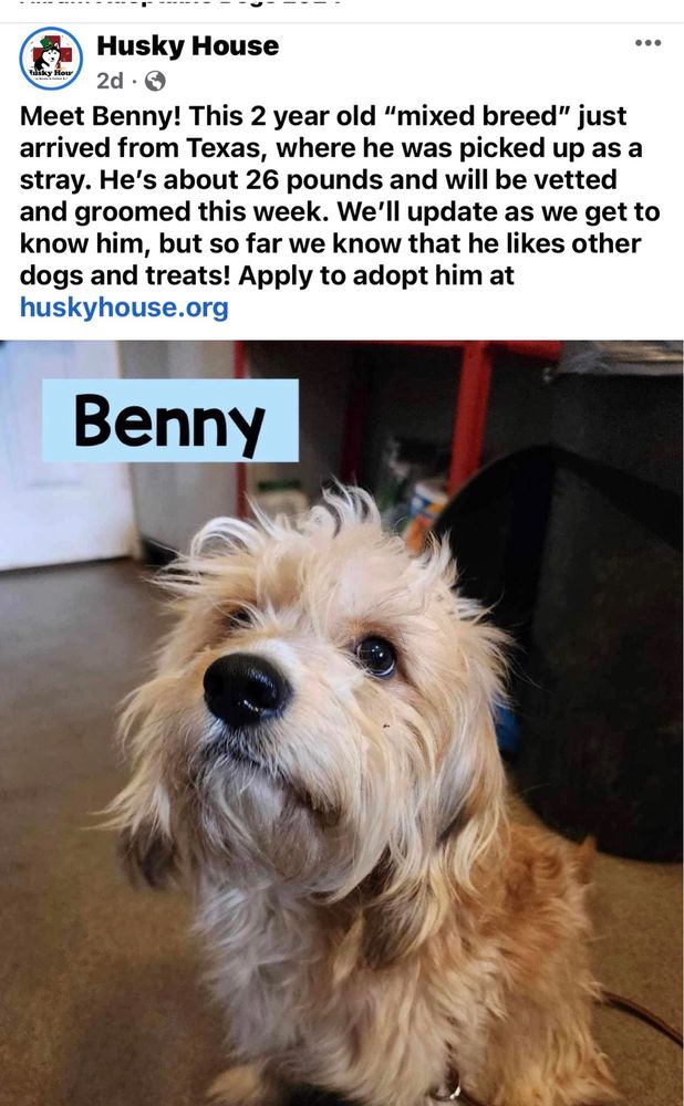 HUSKY HOUSE Updated September 2024 31 Reviews 391 Rte 34, Matawan