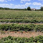 k’s farms Z & K FARMS - Updated December 2025 - 4188 WI-175, Slinger