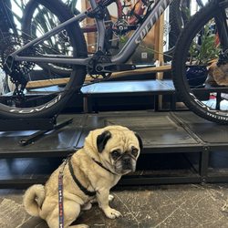 Spokesman Bicycles - Since moving to Santa Cruz, Spokesman is my go-to bike shop! Service and sales are just outstanding! Mr Mo likes their bikes too!