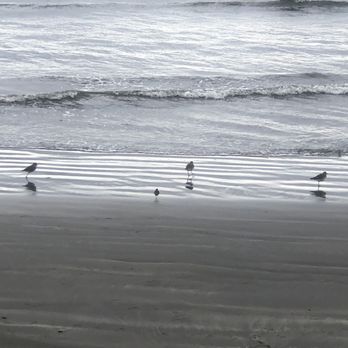Lighthouse Cove RV Park - RV Parks Near Me - Crescent City, California Lighthouse Cove RV Park - RV Parks Near Me - Crescent City, California