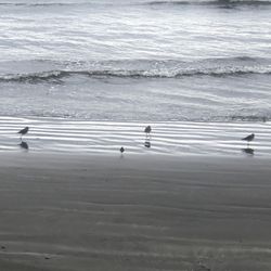 Lighthouse Cove RV Park