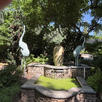 Bushnell Gardens Nursery - Blue heron fountain with green water - Nurseries & Gardening Near Me - Granite Bay, California Bushnell Gardens Nursery - Blue heron fountain with green water - Nurseries & Gardening Near Me - Granite Bay, California
