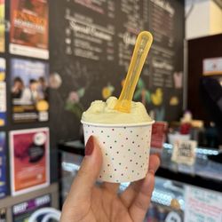 Fainting Goat Gelato - Lemon Grisbi and pistachio baby split scoop