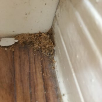 Riverview House - Roach droppings - Apartments Near Me - Lake Worth, Florida Riverview House - Roach droppings - Apartments Near Me - Lake Worth, Florida