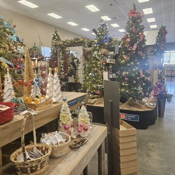 Sky Nursery - Holiday offerings - Nurseries & Gardening Near Me - Shoreline, Washington Sky Nursery - Holiday offerings - Nurseries & Gardening Near Me - Shoreline, Washington