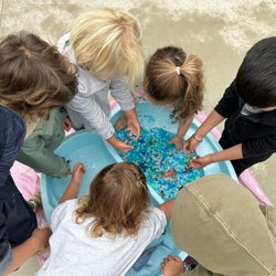 Blossoming Minds Preschool