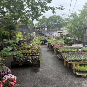 Gardener's Outpost - Gardeners Near Me - Columbia, South Carolina Gardener's Outpost - Gardeners Near Me - Columbia, South Carolina