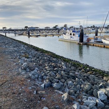 San Leandro Marina - Parks Near Me - San Leandro, California San Leandro Marina - Parks Near Me - San Leandro, California