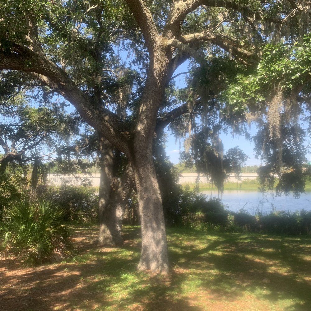 Upper Tampa Bay Trail - Tree and water on the trail - Hiking Near Me - Tampa, Florida Upper Tampa Bay Trail - Tree and water on the trail - Hiking Near Me - Tampa, Florida