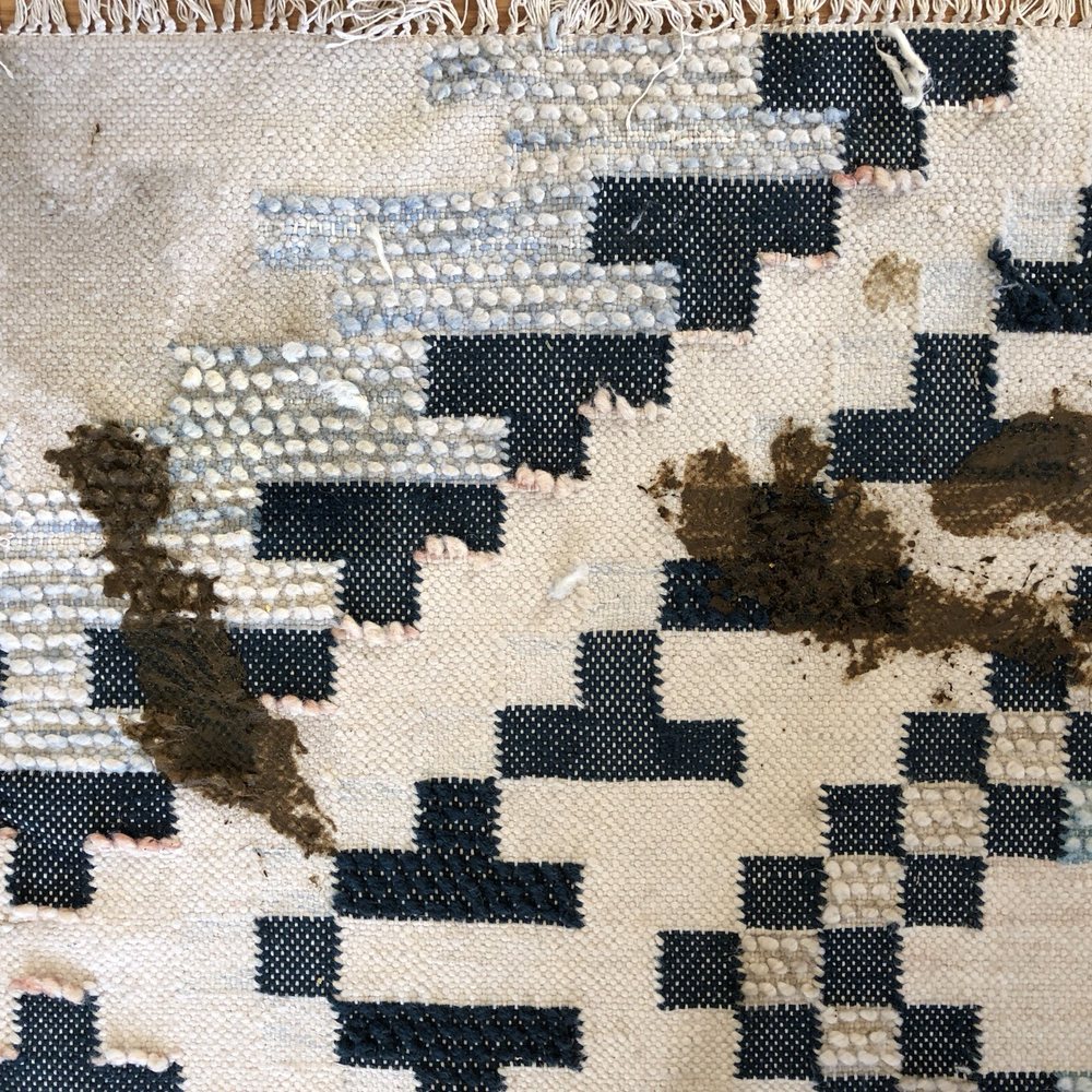 Oscar's Carpet Cleaning - Carpet Cleaning Near Me Oscar's Carpet Cleaning - Carpet Cleaning Near Me