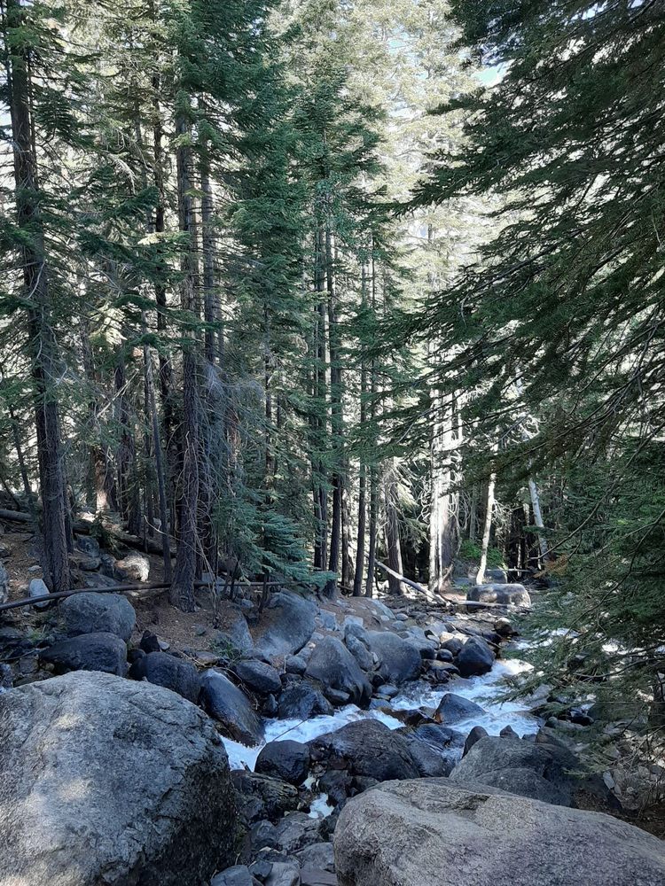 TWIN LAKES RESORT 262 Photos & 133 Reviews Fishing 10316 Twin Lakes Rd, Bridgeport, CA