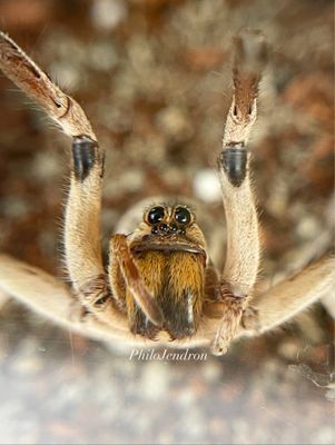Natural History Museum of Los Angeles County by null Natural History Museum of Los Angeles County by null