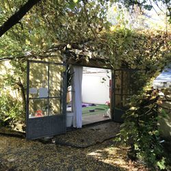 Yoga im Glashaus - Yoga in einer grünen Oase