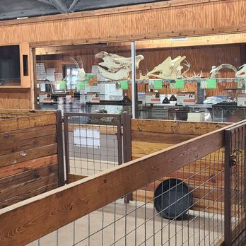 Fossil Rim Wildlife Center - Zoos Near Me - Glen Rose, Texas Fossil Rim Wildlife Center - Zoos Near Me - Glen Rose, Texas