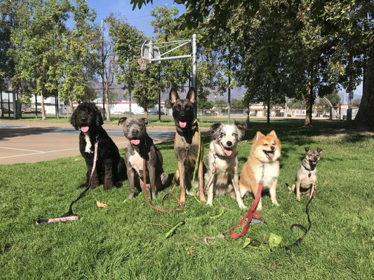 K9 Logic’s dedicated team - Based out of Los Angeles, K9 Logic’s dedicated team of master trainers teach you how to strengthen the communication between you and your dog through methods that are easy to execute and create long-lasting results. With the knowledge and tools to take the guesswork out of training, we set you and your pup up for success with a healthy relationship that lasts a lifetime. K9 Logic’s dedicated team - Based out of Los Angeles, K9 Logic’s dedicated team of master trainers teach you how to strengthen the communication between you and your dog through methods that are easy to execute and create long-lasting results. With the knowledge and tools to take the guesswork out of training, we set you and your pup up for success with a healthy relationship that lasts a lifetime.