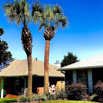 Specialized Palm And Tree Care - Tree Services Near Me Specialized Palm And Tree Care - Tree Services Near Me
