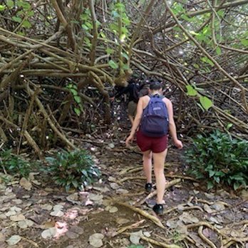 Hike Maui - Tours Near Me - Kahului, Hawaii