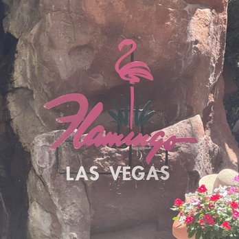 Flamingo Las Vegas - Hotels Near Me - Las Vegas, Nevada Flamingo Las Vegas - Hotels Near Me - Las Vegas, Nevada