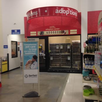 PetSmart - Bellingham PetSmart -- Crossroads Shopping Center : 213 Hartford Avenue / Route 126, Bellingham                Interior - Pet Training Near Me - Bellingham, Massachusetts