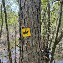 Horse Trail