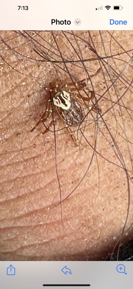 Fred George Greenway and Park