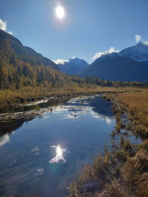 Eagle River Nature Center by null
