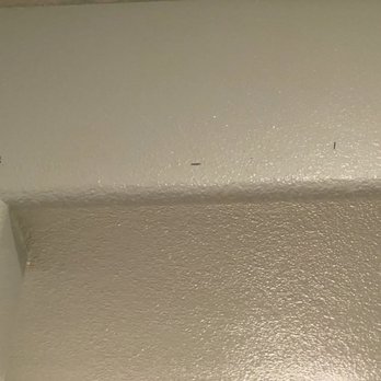 1 800 Water Damage - Staples left in walls after the job "is complete" - Damage Restoration Near Me - Murrieta, California 1 800 Water Damage - Staples left in walls after the job "is complete" - Damage Restoration Near Me - Murrieta, California