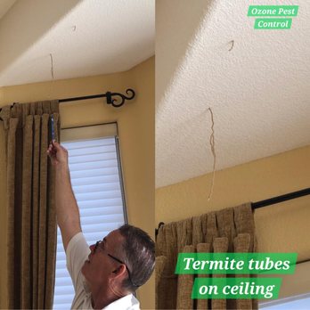 Ozone Pest Control - Subterranean Termite Shelter tubes. If you see them, Give Ozone a call Today! - Pest Control Near Me - Queen Creek, Arizona Ozone Pest Control - Subterranean Termite Shelter tubes. If you see them, Give Ozone a call Today! - Pest Control Near Me - Queen Creek, Arizona