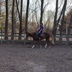 Evergreen Stables Equestrian Center - Lessons outside in one of the rings when the weather is nice