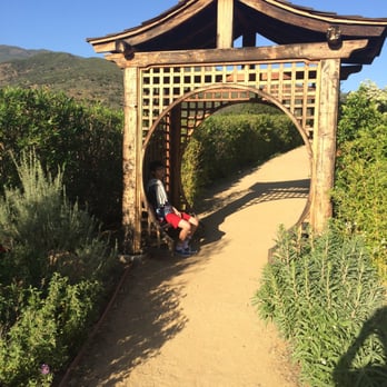 Meditation Mount - The trail. - Meditation Centers Near Me - Ojai, California