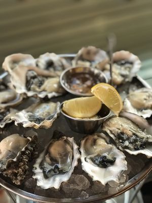 IRONSIDE FISH & OYSTER - 9697 Photos & 4923 Reviews - 1654 India St