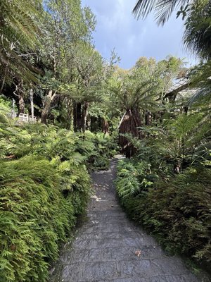 Auckland Domain by null